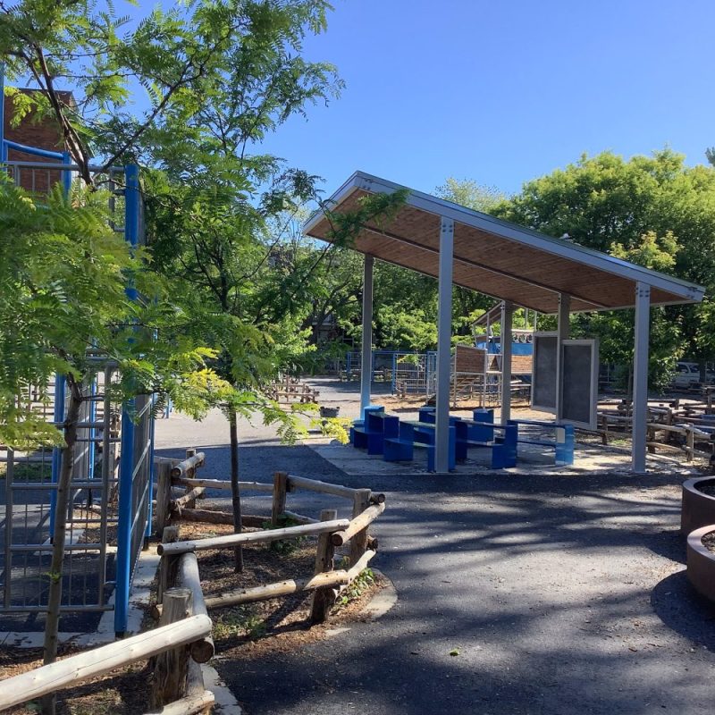 COLE-ST-PIERRE-CLAVER_HEADER